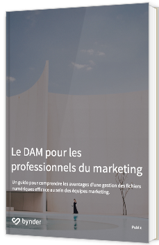 Le DAM pour les professionnels du marketing