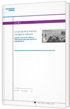 Les atouts de la Business Intelligence intégrée