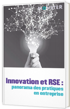Innovation et RSE : panorama des pratiques en entreprise 