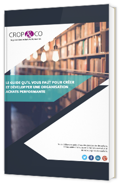 Créer et développer une Organisation Achats Performante
