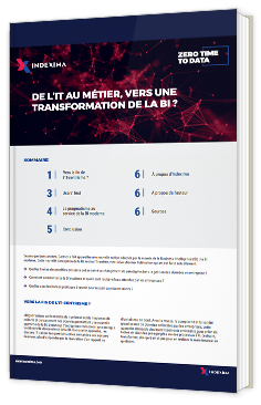 De l'IT au métier, vers une transformation de la BI ?
