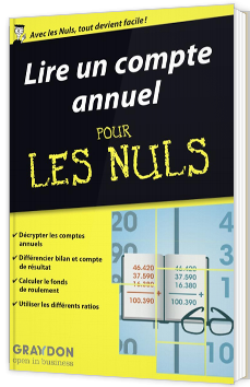 Lire un compte annuel pour les nuls