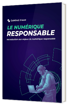 Livre blanc - "Introduction aux enjeux du Numérique Responsable" -GoMind
