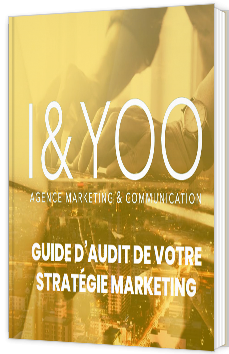 GUIDE AUDIT DE VOTRE STRATEGIE DIGITALE