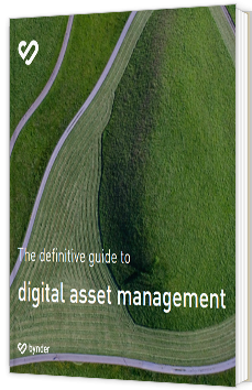 Le guide ultime du digital asset management