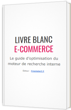 Le guide d’optimisation du moteur de recherche interne des boutiques en ligne