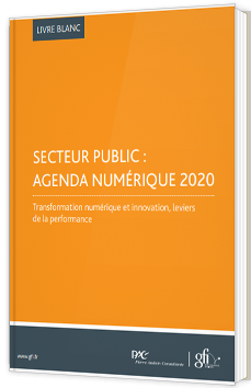Secteur public : agenda numérique 2020