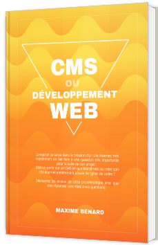 CMS ou développement web, que choisir ?