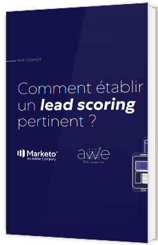 Comment établir un lead scoring pertinent ?