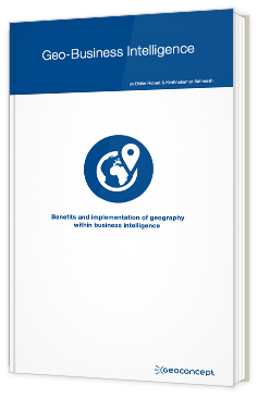 Geo-Business Intelligence
