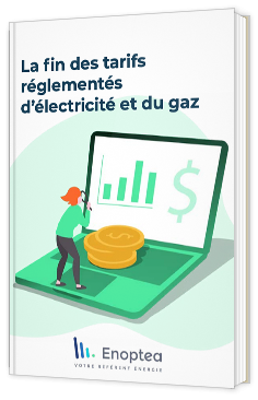 Conformément à la loi énergie climat du 8 novembre 2019, les tarifs réglementés de vente d’électricité et de gaz prendront fin pour les professionnels en 2020. Si vous êtes un professionnel en charge des budgets énergie de votre entreprise ou collectivités, ce guide est fait pour vous.