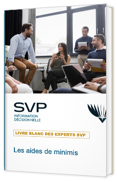 Les aides de minimis