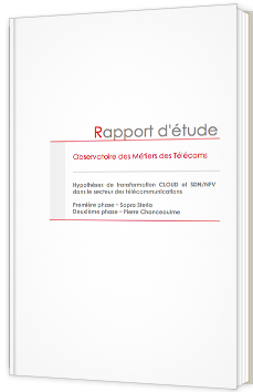 Rapport d'étude - Hypothèses de transformation CLOUD et SDN/NFV dans le secteur des télécommunications