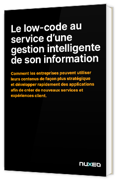 Le low-code au service d’une gestion intelligente de son information