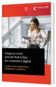 Adapter son activité B2B à l’ère du commerce digital : Justifier le bien-fondé d’une intégration e-commerce