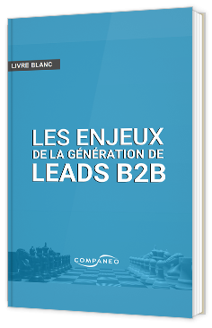 B2B : principaux enjeux de la génération de leads