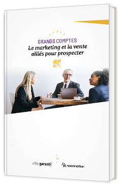 Guide de la Prospection Grands Comptes
