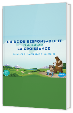 Guide du responsable it pour accélérer la croissance 