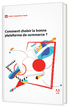 Comment choisir la bonne plateforme de commerce ?