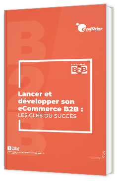 Lancer et développer son e-commerce B2B : les clés du succès