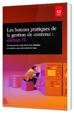 Les bonnes pratiques de la gestion de contenu : édition IT.