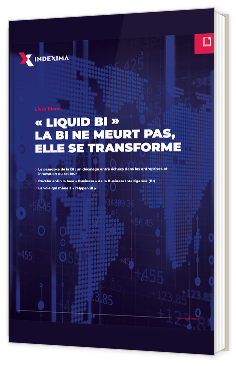 « Liquid bi »  la bi ne meurt pas, elle se transforme
