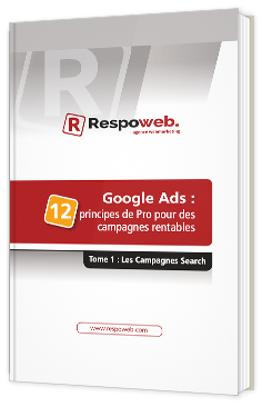 12 principes de Pro pour des campagnes rentables