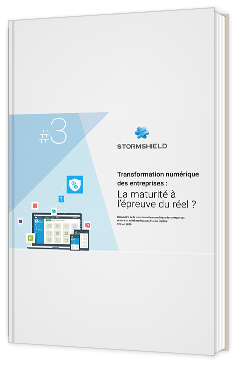 Transformation numérique des entreprises : la maturité à l’épreuve du réel ? — édition 2020