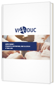 L'Agilité en entreprise, une question d’équilibre