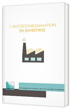 L'autoconsommation en entreprise