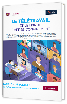Les enjeux du télétravail pour les entreprises de services numériques et cabinets de conseil