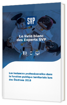 Les instances professionnelles dans la fonction publique territoriale lors des Élections 2018