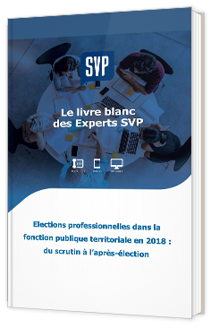 Elections professionnelles dans la fonction publique territoriale en 2018 : du scrutin à l’après-élection