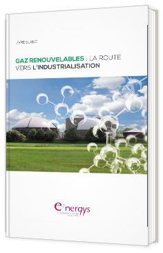 Gaz renouvelables : la route vers l'industrialisation