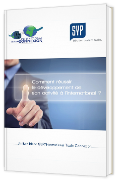 Comment réussir le développement de ses activités à l'international ?