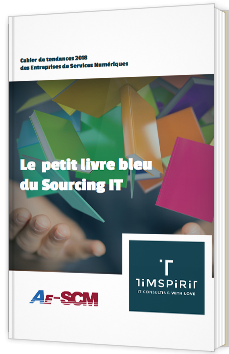 Le petit livre bleu du Sourcing IT