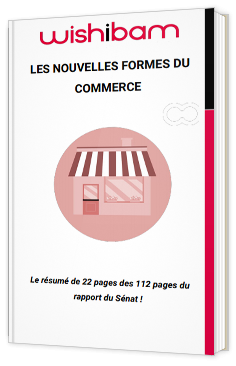 Les nouvelles formes du commerce - résumé du rapport du Sénat