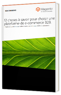 12 choses à savoir pour choisir une plateforme de e-commerce B2B