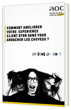 Comment améliorer votre expérience client BtoB sans vous arracher les cheveux ?