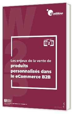 Galilée-ecommerceB2B