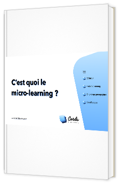 Seekoya-microlearning