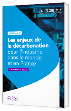 Les enjeux de la décarbonation pour l'industrie dans le monde et en France