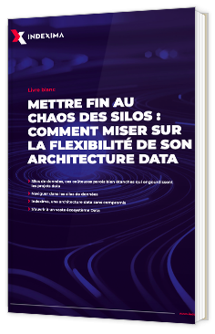Mettre fin au chaos des silos : la flexibilité de son architecture data 