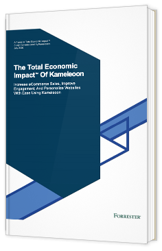 The Total Economic Impact Of Kameleoon