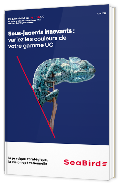 Sous-jacents innovants : variez les couleurs de votre gamme UC