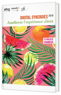 Digital Synergies 2019