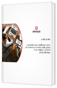 Livre blanc  - 9 conseils pour améliorer votre performance commerciale grâce à un tableau de bord géographique - Articque