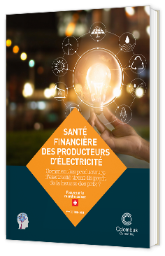Livre blanc - Santé financière des producteurs d'électricité - Focus sur le marché Suisse - Colombus Consulting
