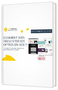Livre blanc - Comment bien présenter ses offres en B2B ? - Wexperience