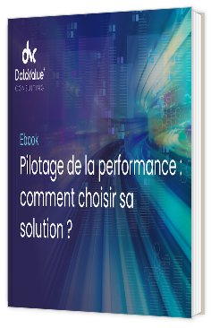 Livre blanc - Pilotage de la performance : comment choisir sa solution ? - DataVaueConsulting 